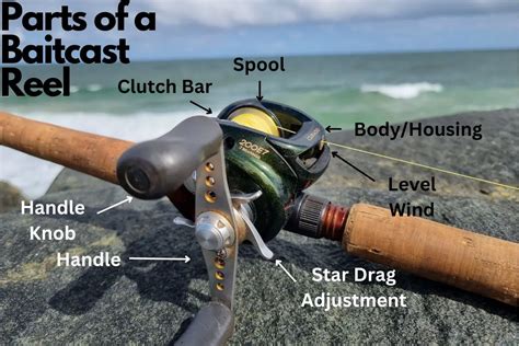 What Is Drag On A Fishing Reel And Why Does It Matter All Fishing Gear