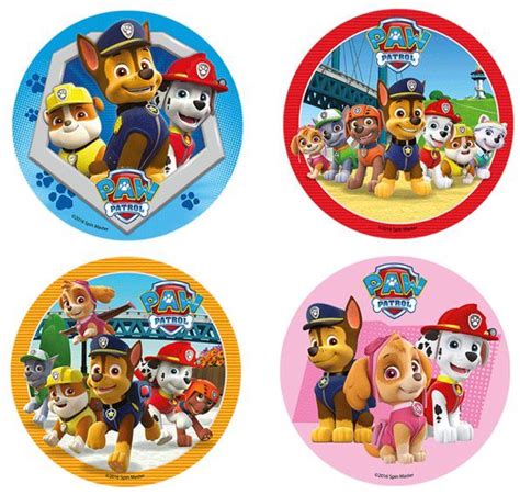 Paw Patrol Festa Cartoni Animati COMPLEANNO BAMBINO Paw Patrol