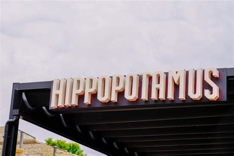Hippopotamus Marca Del Logotipo Del Restaurante Y Signo De Texto De La