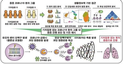 기저질환 없는 코로나19 환자 중증으로 이어지는 이유 찾았다