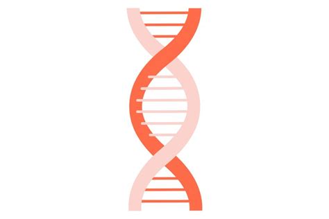 Genetic cell icon. Chromosome symbol. Dna sign