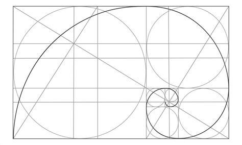 Golden Ratio Template Logarithmic Spiral In Rectangle With Circles And