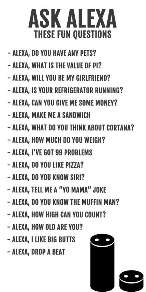 A Complete Guide On Amazon Alexa S Jokes Funny Alexa Commands Funny