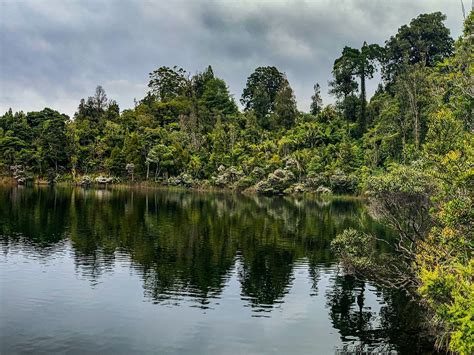 waitakere ranges part  trip ideas