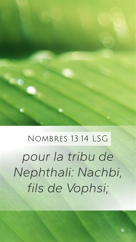 Nombres 13 14 LSG Mobile Phone Wallpaper Pour La Tribu De Nephthali