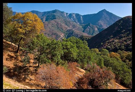 picturephoto sierra nevada western foothills  summer sequoia