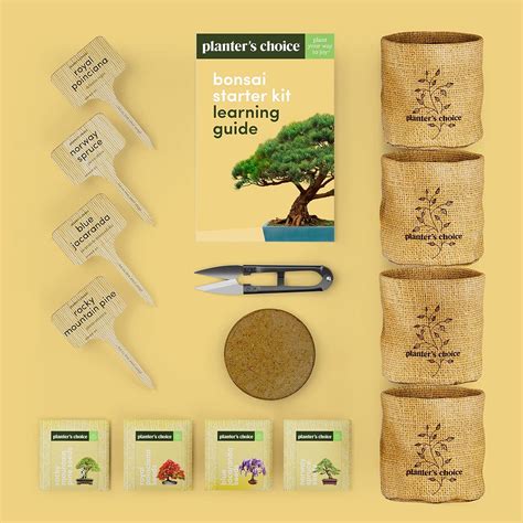 New Bonsai Starter Kit Review