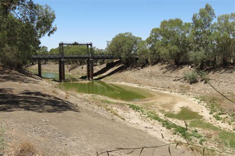 Darling River In Wilcannia January 10 2019 Raustralia