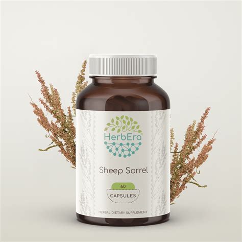 Sheep Sorrel 60 Capsules, 500 mg, Organic Sheep Sorrel (Rumex