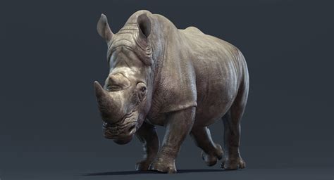 Big Rhino Animation 3d Model Turbosquid 1344943