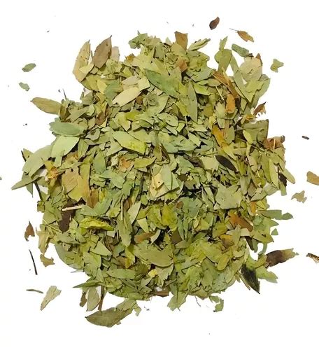 Chá De Sene Cassia Angustifolia Vahl 100g MercadoLivre