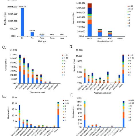 Type And Frequency Of Microsatellite Motifs In Chionobathyscus Dewitti