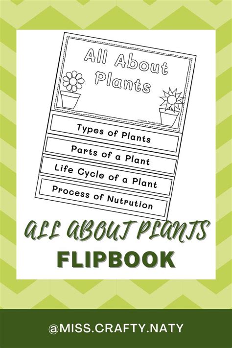 Plants Flipbook Printable And Editable Plant Life Cycle Flip Book