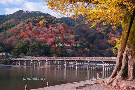 京都 嵐山の紅葉 写真素材 4834616 フォトライブラリー photolibrary