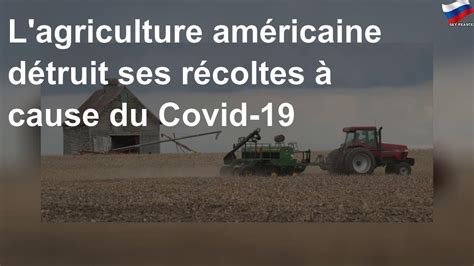 L Agriculture Am Ricaine D Truit Ses R Coltes Cause Du Covid Youtube