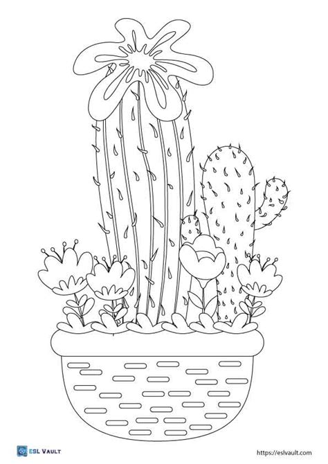 19 Free Cactus Coloring Pages ESL Vault