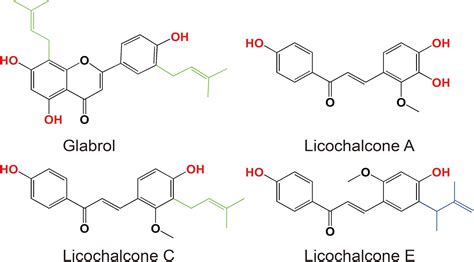 Frontiers Antibacterial Effect And Mode Of Action Of Flavonoids From