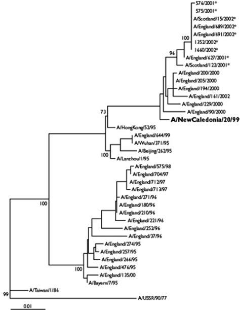 Phylogenetic Tree Of Influenza A H N And H N Virus Ha Open I