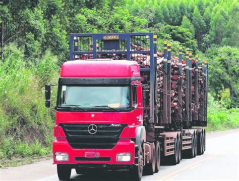 Empresa troca caminhão por trem para carregar eucalipto