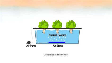 Projek Rekabentuk Sistem Hidroponik PPT