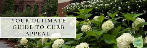 Your Ultimate Guide To Curb Appeal National Garden Bureau