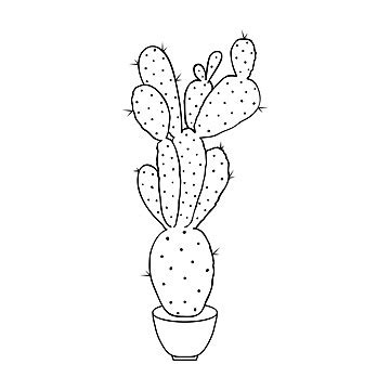 Cactus In Doodle Style Hand Drawn Vector Cacti Vector Cactus Drawing