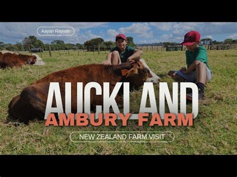 Aayan Rayyan S AMBURY Regional Park Adventure Exploring Auckland S