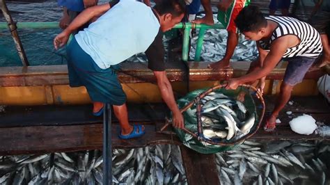 Fish And Seafood Inflation Eases Da Bfar Commits To Working Harder For