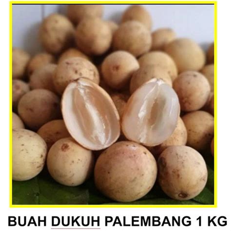 Jual Promo Buah Duku Palembang 1 Kg Dukuh Palembang Super Manis 1kg