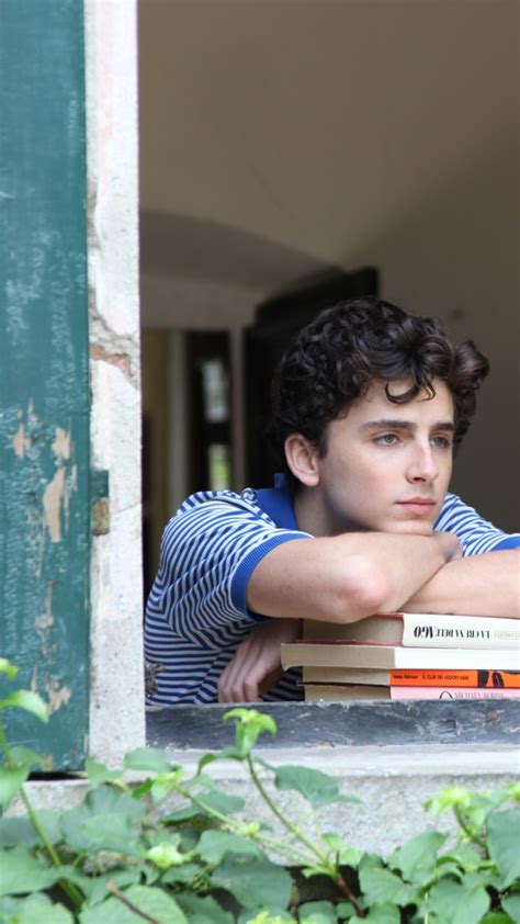 Wallpaper Call Me by Your Name, Timothee Chalamet, 5k, Movies #15257