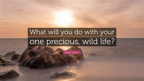 Mary Oliver Quote “what Will You Do With Your One Precious Wild Life”