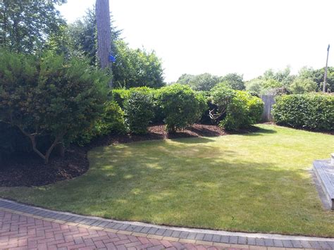 Evergreen Shrub Borders With Decorative Bark Mulch Mckay Gardens