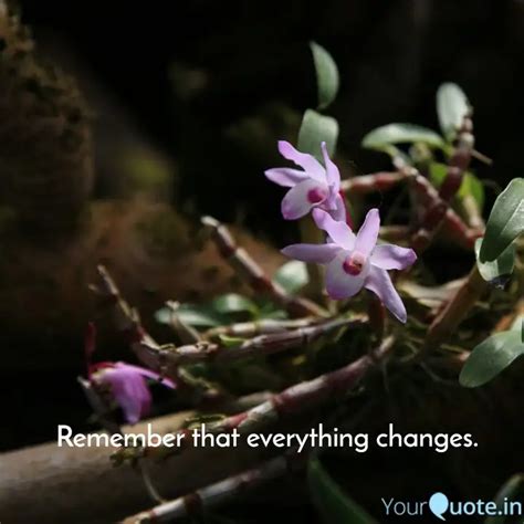 Remember That Everything Quotes Writings By Sony Yourquote