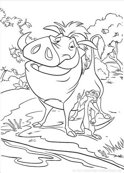 Le Roi Lion Dessin A Colorier Timon Pumba Simba Simba Timon And