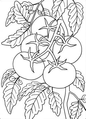 高齢者レク素材 舞妓｜定番塗り絵｜介護レク広場～レク素材やレクネタ（企画書）の無料ダウンロード