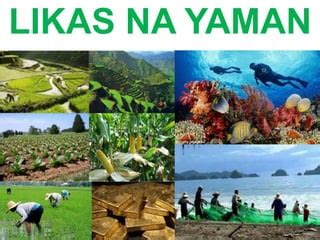 Yamang Likas