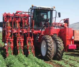 Dewulf reveals latest carrot harvester - Farmers Weekly