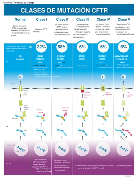 Clases DE Mutación CFTR 22 88 6 6 5 DESCRIPCIÓN TERAPIAS