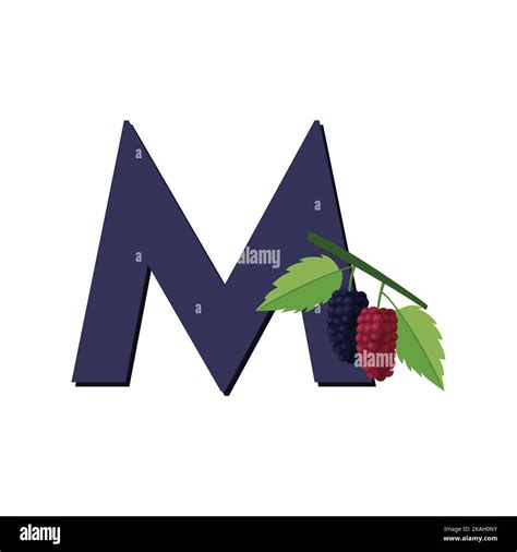 Letter M Alphabet Fruits Mulberry Clip Art Vector Illustration