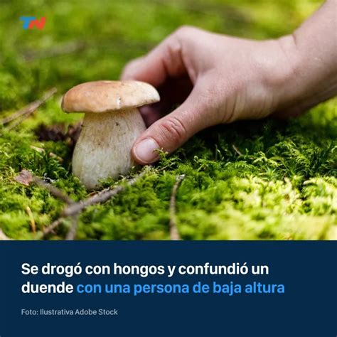 Se drogó con hongos secuestró a un enano pensando que era un duende y