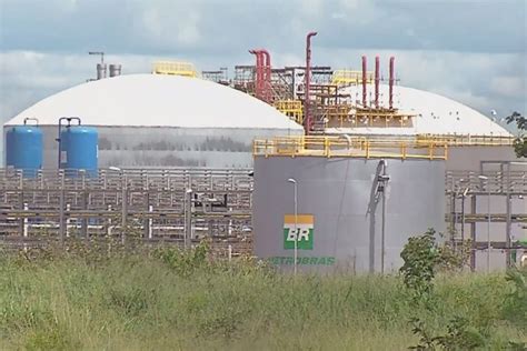 Fup Petrobr S Consolida Volta Ao Setor De Fertilizantes Retomada