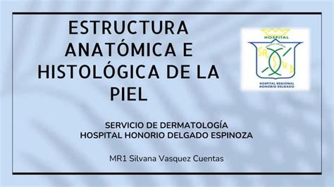 ESTRUCTURA ANATOMICA E HISTOLOGICA DE LA PIEL Pptx