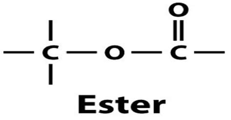 Ester Molecule Structure