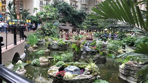 Opryland hotel | Opryland hotel, Hotel, Plants