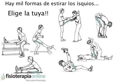 Como Elongar Los Isquiotibiales Buscar Con Google Fisioterapia