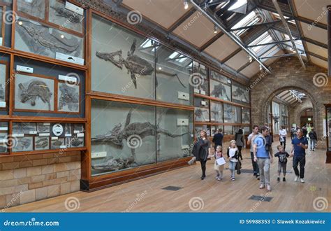 Visitors Natural History Museum London Editorial Stock Photo - Image of ...