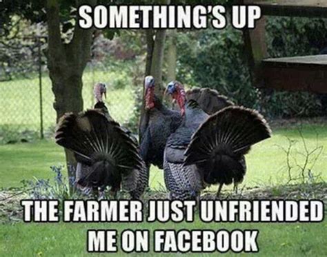 Thanksgiving memes funny friends | City Of