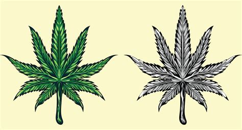 Marijuana vector cannabis leaf weed icon logo clip art illustration graphic black. 20201948 ...