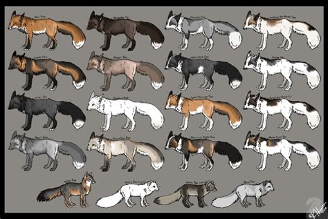 Fox Color Chart Redux By Krissyfawx On Deviantart Fox Species Fox