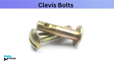 5 Types of Clevis Bolt and Their Uses